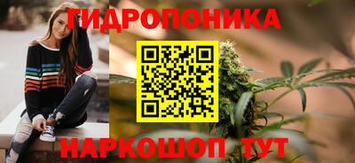 дурь Будённовск