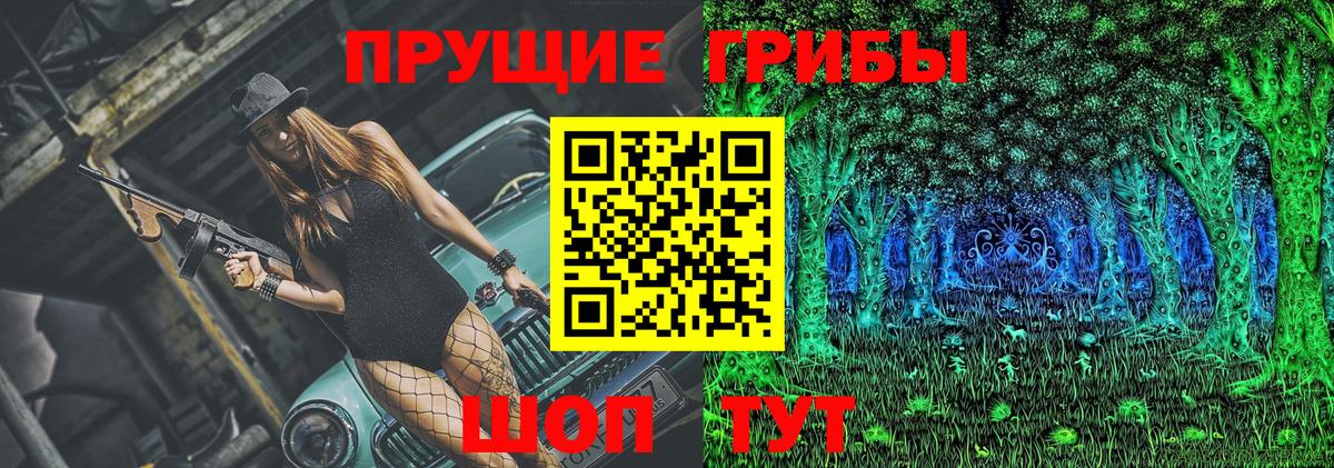 Псилоцибиновые грибы Psilocybine cubensis Первоуральск