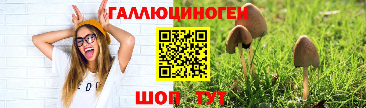 что такое   Вход с VPN  Первоуральск  Псилоцибиновые грибы мухоморы 